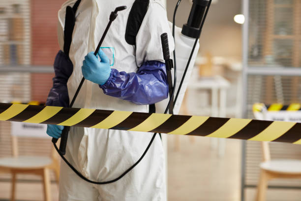 Professional Hoarding Cleanup technician working in Beasley, TX